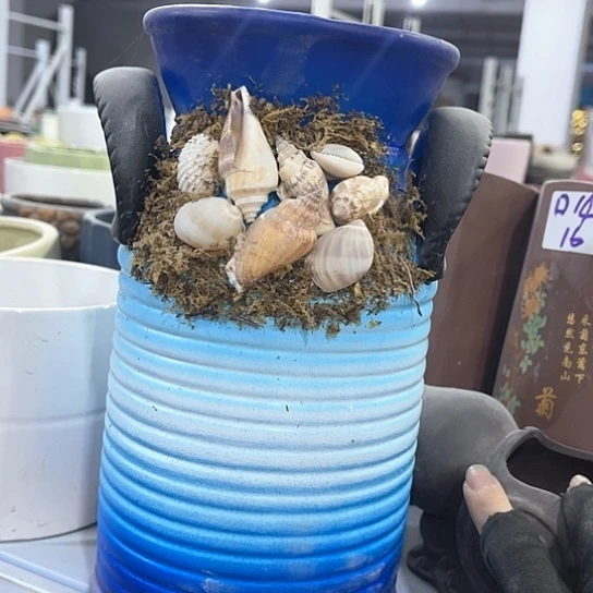 多肉绿植陶瓷花盆9.9包邮