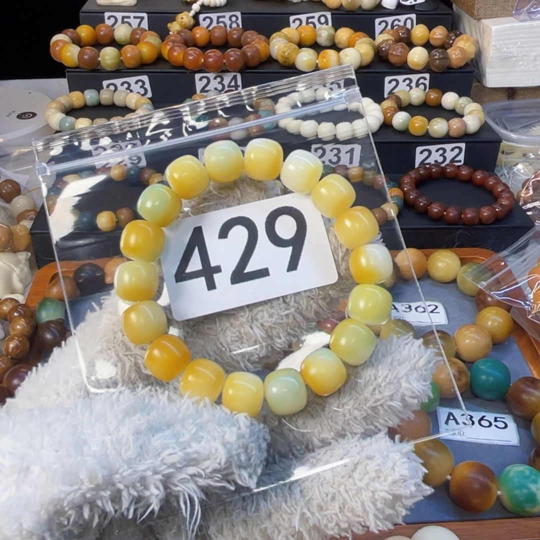 菩提根/象牙果手串蛤***蛋