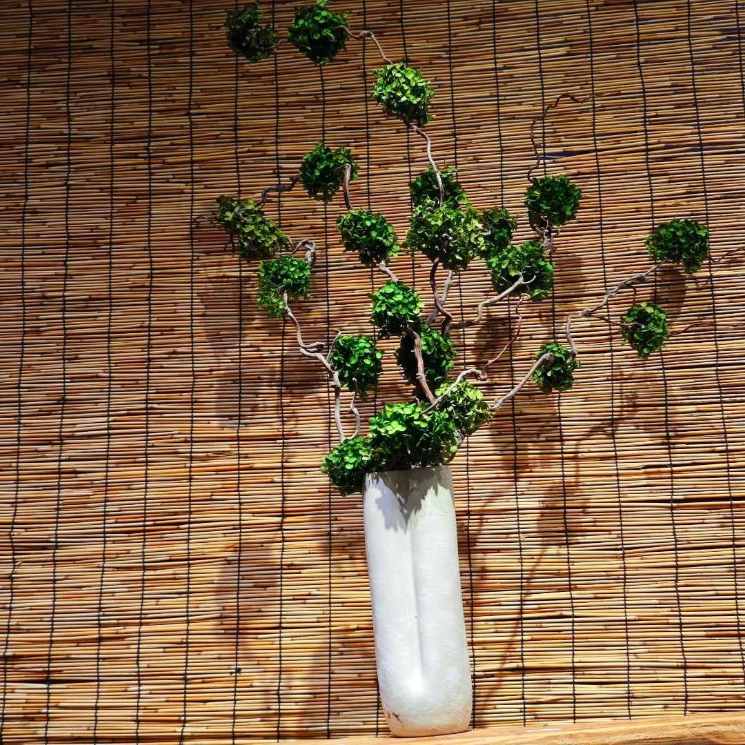 【萍野】高级家居永生花客厅花束云舍花卉梦香兰