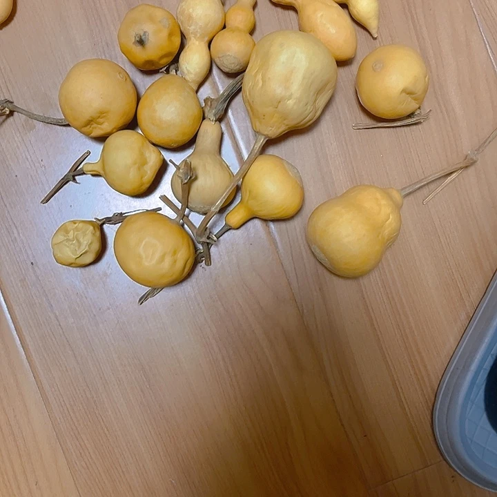 無***言抽抽葫芦，天天开心