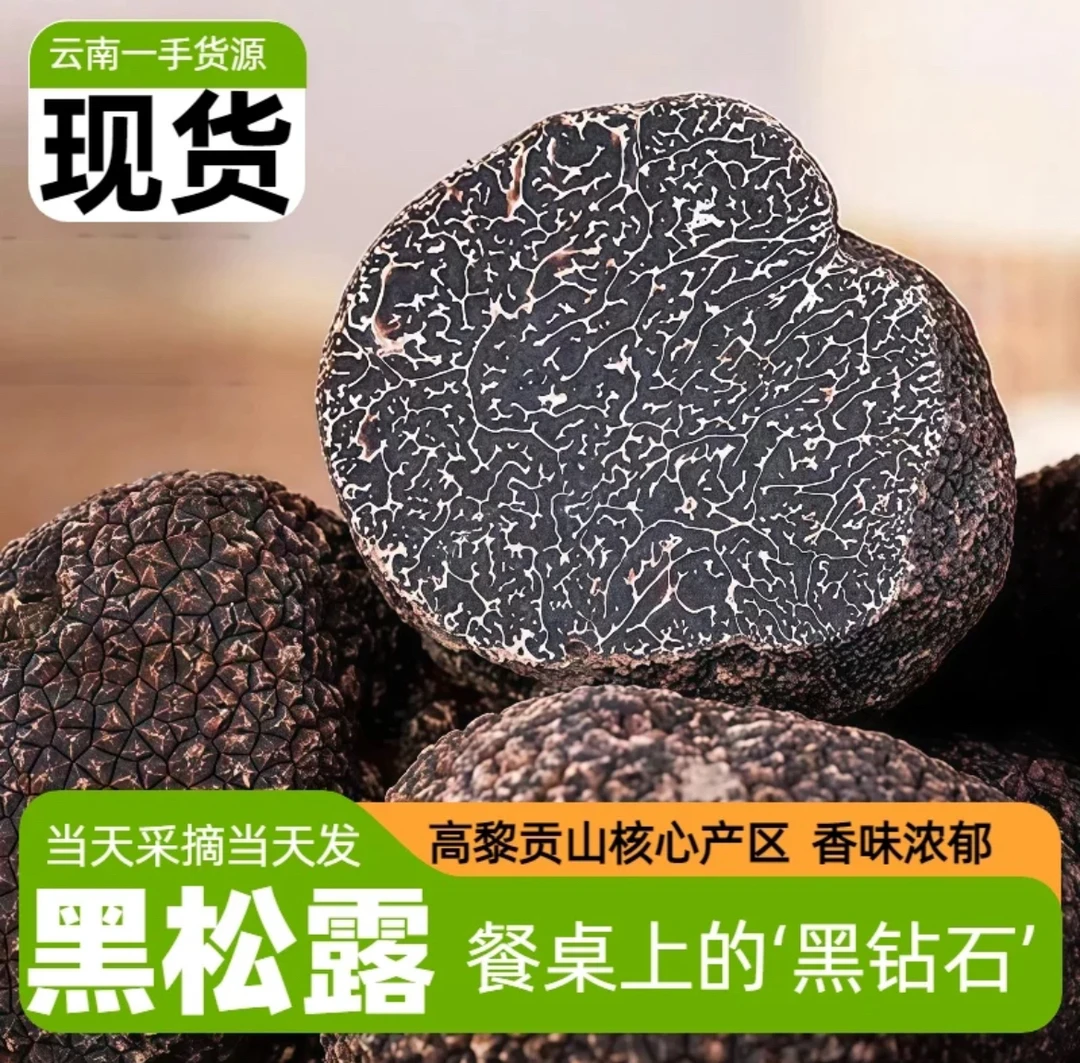 云南高黎贡山新鲜野生黑松露/猪拱菌/松露刺身 顺丰空运冷链包邮