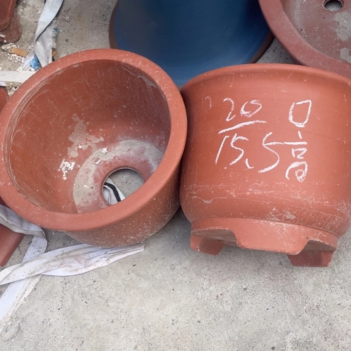 周深周深周深周深周深