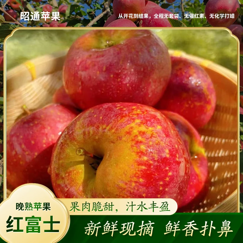 云南昭通冰糖心丑苹果脆甜多汁新鲜应季中大果（农产品地理标志）