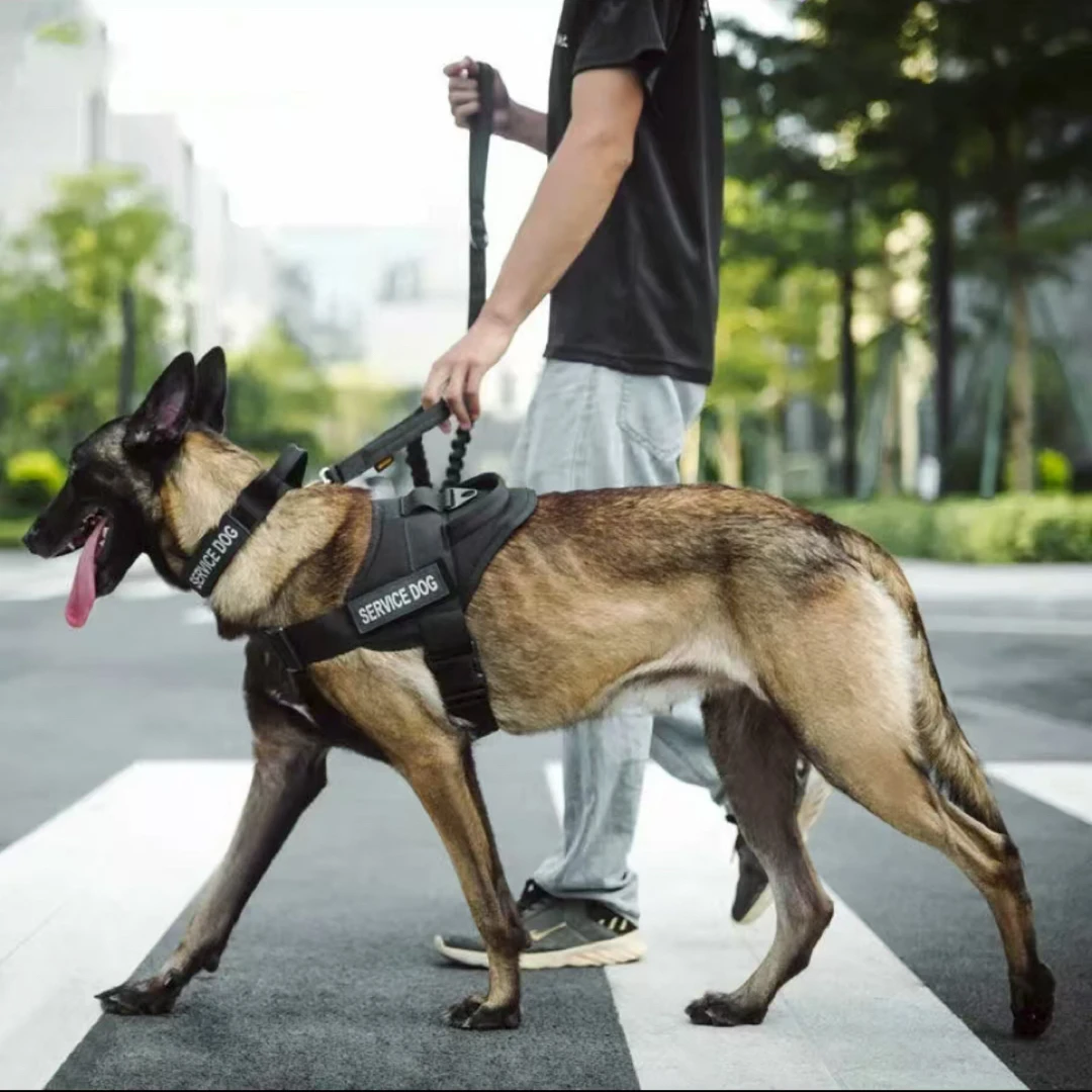 狗狗背心式牵引绳大型犬加粗防咬断防爆冲适合夏天使用