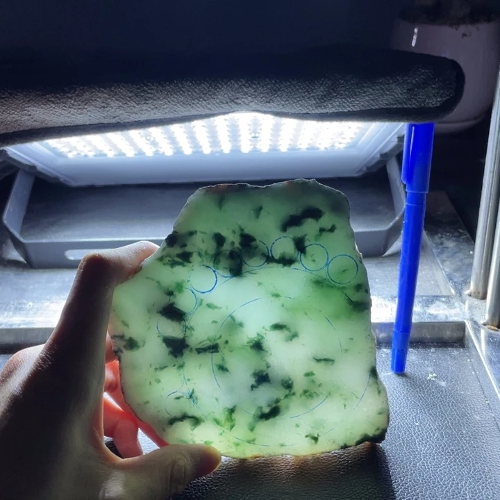 睡***虫定制翡翠未镶嵌翡翠