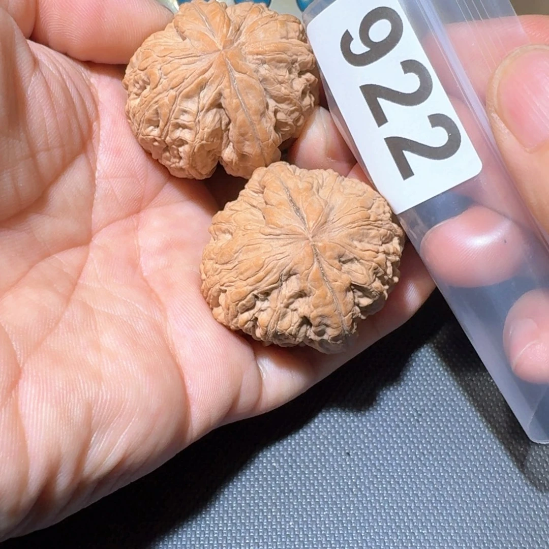 持***恒文玩核桃把件骨王39