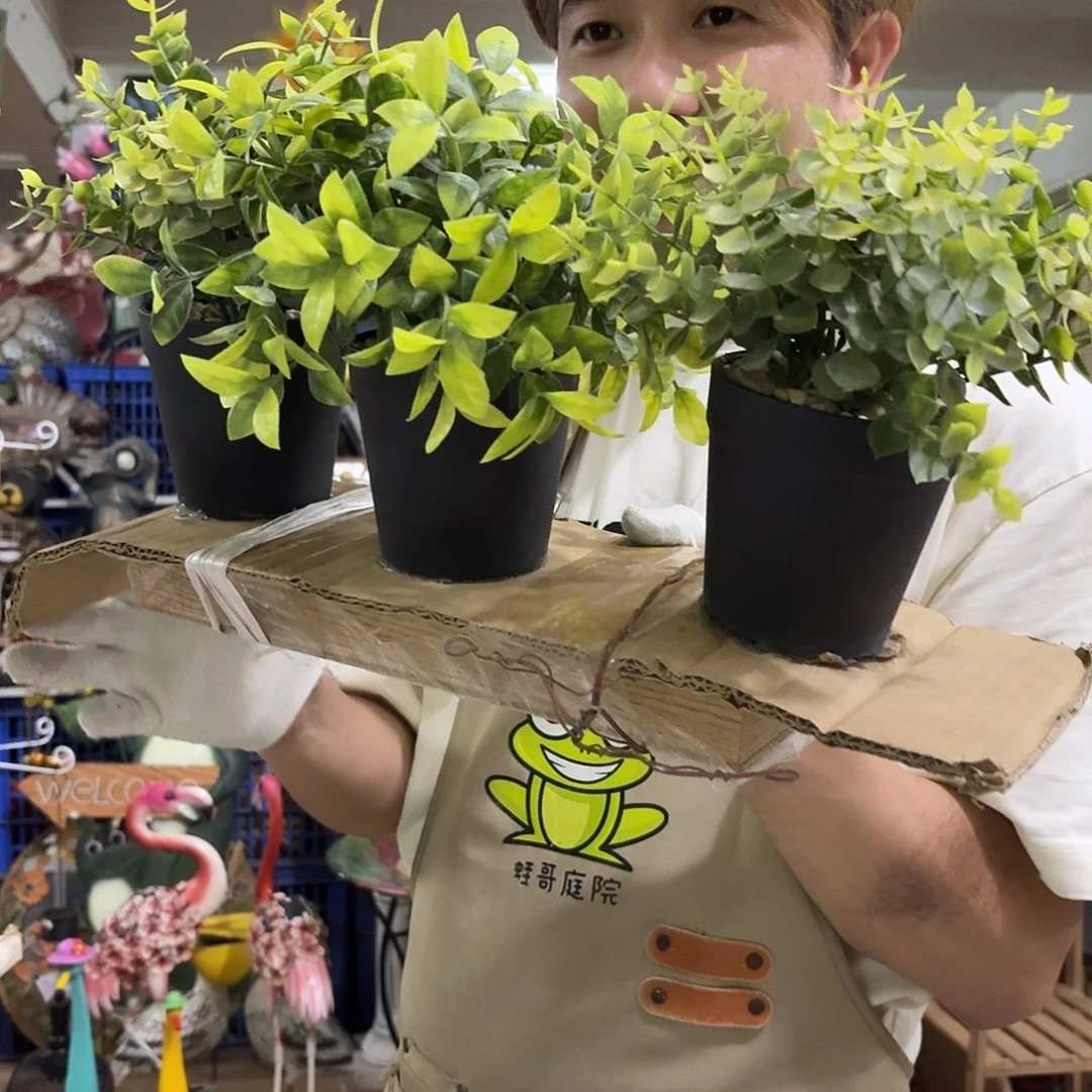 核桃木/黑胡桃（胡桃木）