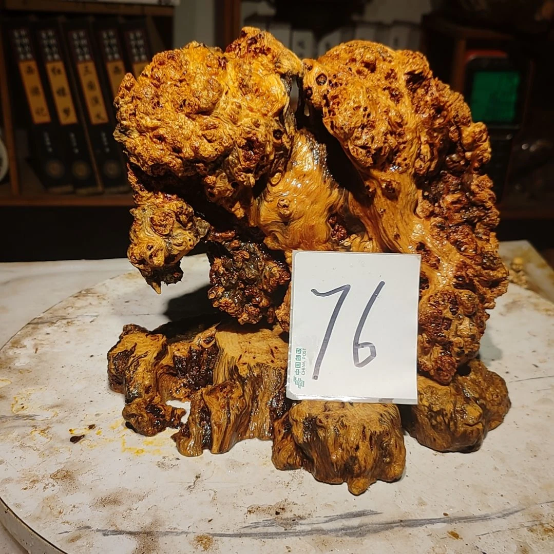 松木橄*树76号北沉香琥珀木天然造型