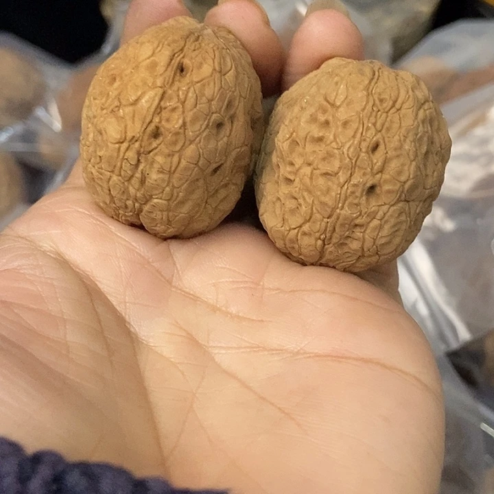 把件文玩核桃云南铁核桃基地48