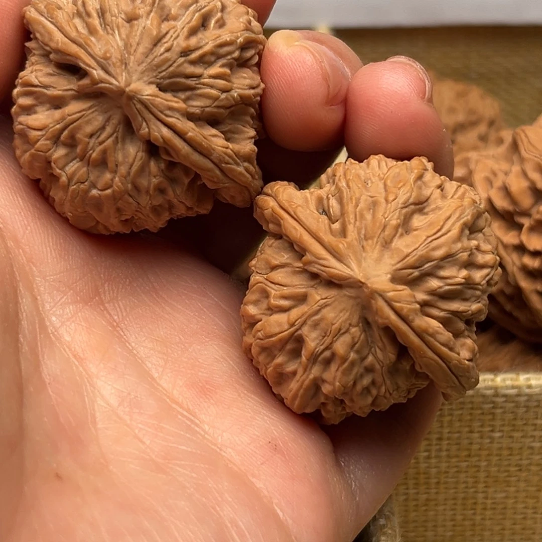 文玩核桃吊坠37白狮子