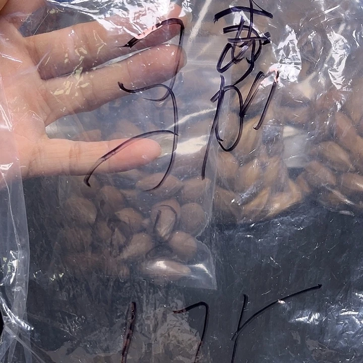 马***嘉手串/手链橄榄核1111