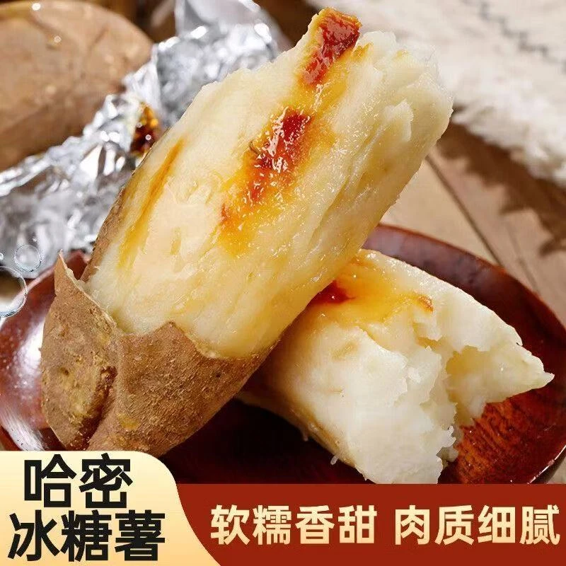 新鲜现挖正宗白哈密冰糖白薯软糯香甜沙地种植