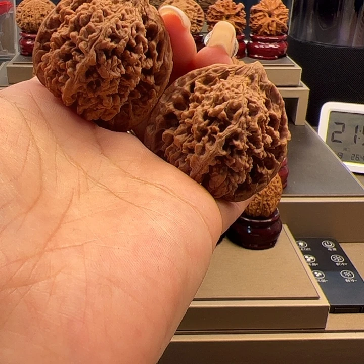 文玩核桃把件41 满天星 h-004