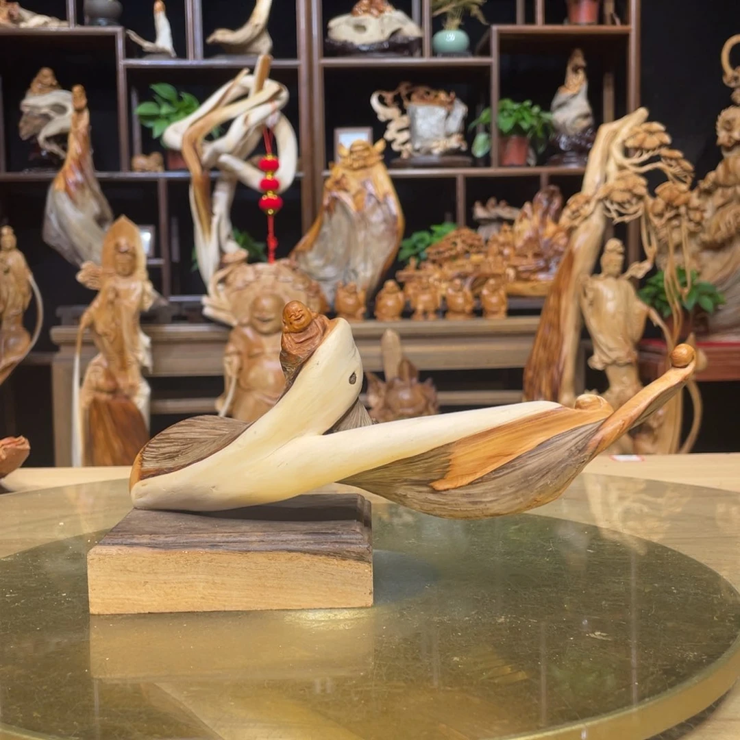 柏木（崖柏）64646646464694