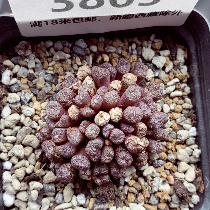 3865。