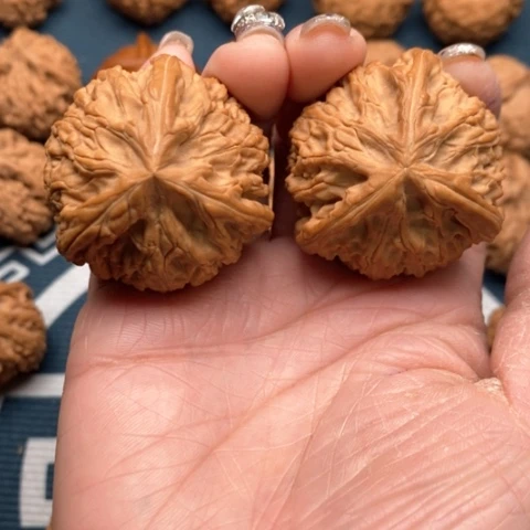 橄榄核手串/手链时*文山三棱，御龙粗筋