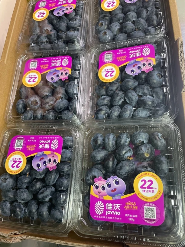 【老牛专属】云南佳沃L25蓝莓1件4盒/6盒/12盒每盒125g包邮
