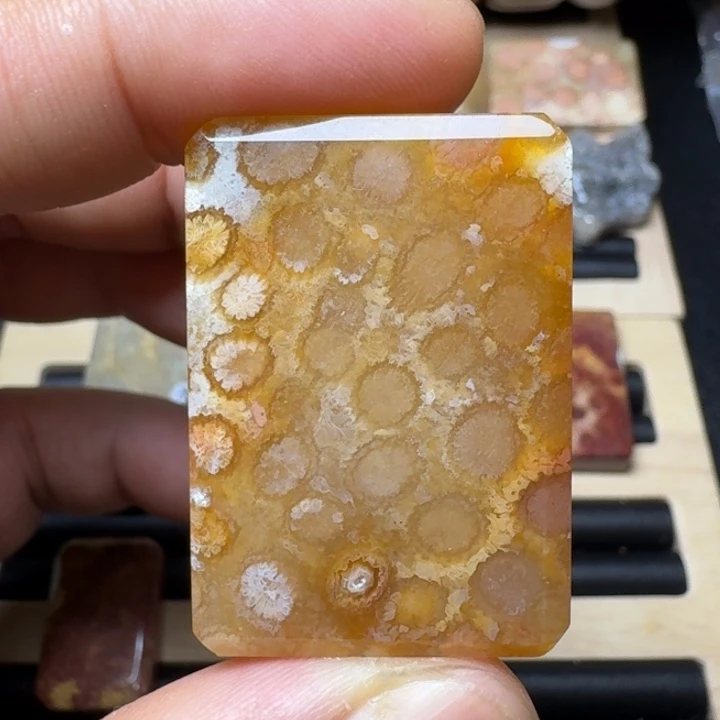 未镶嵌纯天然色有机玉石保真色硅化玉