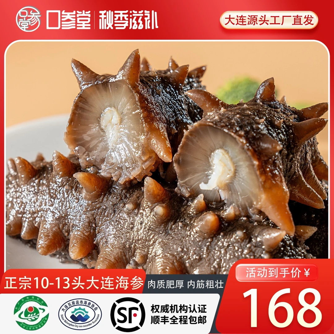 【鲜食海参】正宗大连海参10-13头 源头工厂直供 滋补养生必备
