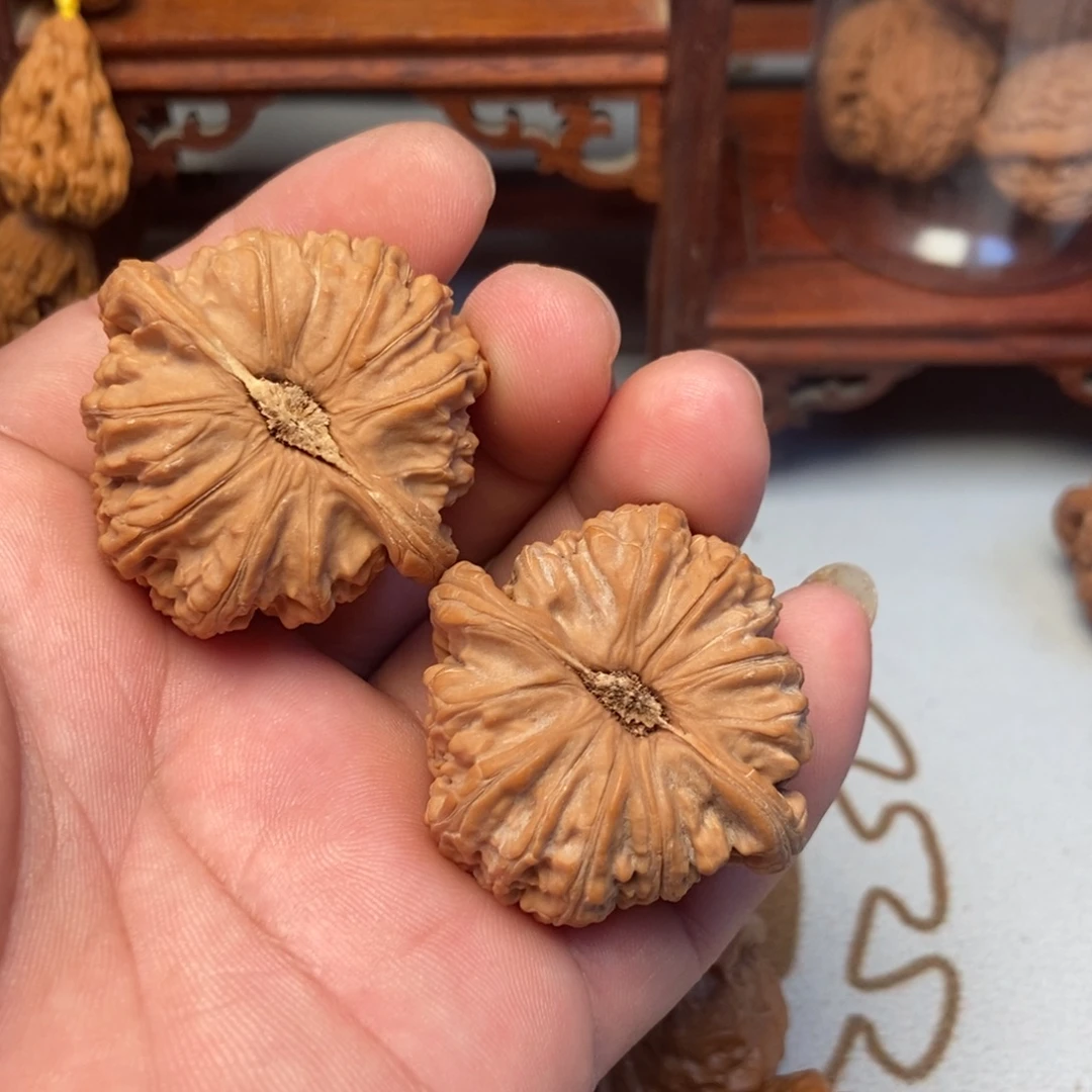 若***惜大叶紫檀（黑酸枝木类）闷白