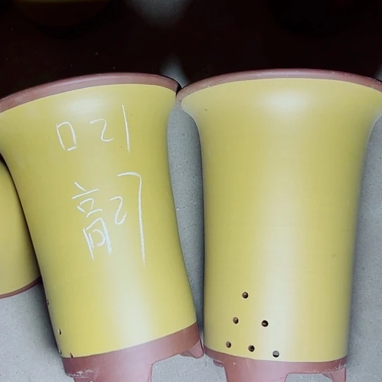 红陶紫砂紫砂紫砂
