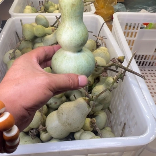 叫***李葫萝卜切丝备用调料盐适量
