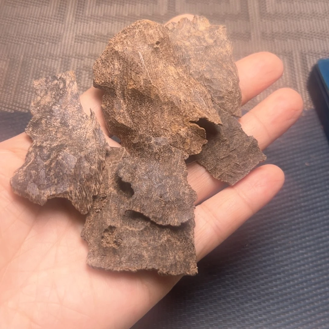 香榧木包壳福利10克