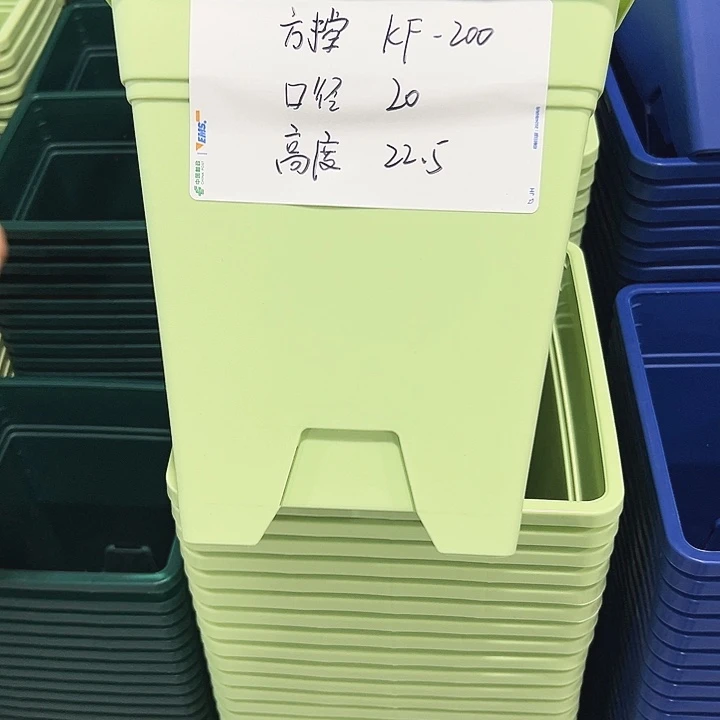 正品方盆口20高22果绿带托5只