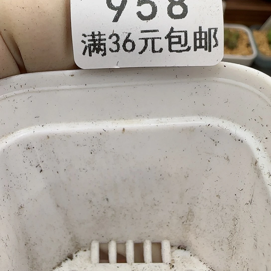 十**i958康普提福利福利