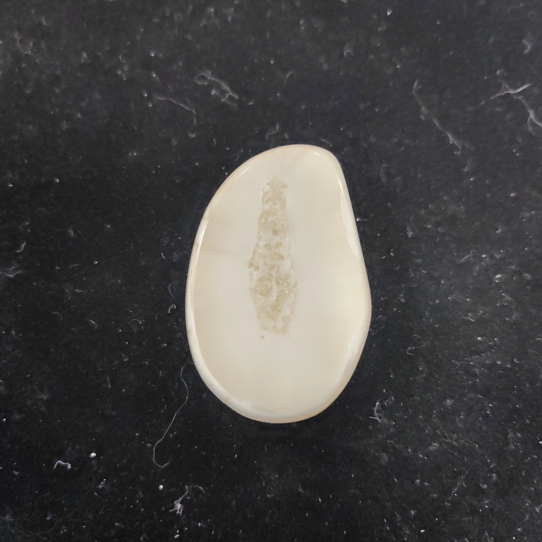 猛犸猛犸虬饼子WT605