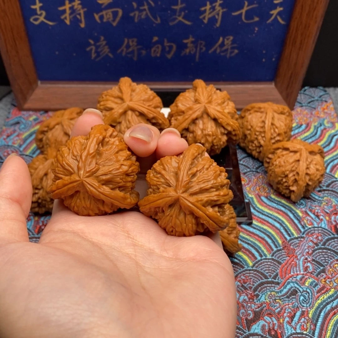 【闪购商品】F****E白狮