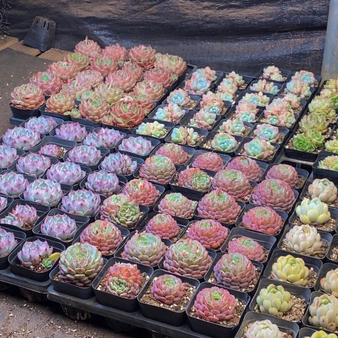 094的人在一起的时候就会觉得