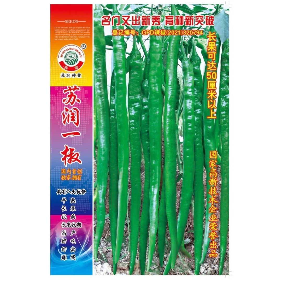 线椒蔬菜种子 苏润种业苏润一椒辣椒种子 早熟抗病高产 辣味适中