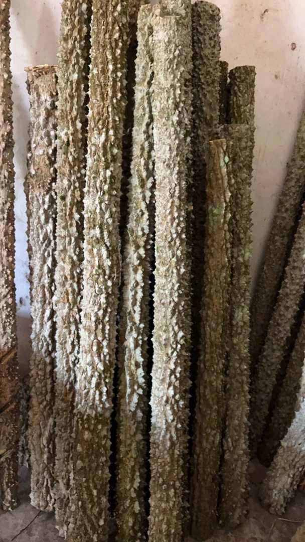 海南花椒木原木，盘龙柱摆件，防身棒，按摩手棍，手把件可把玩拐杖