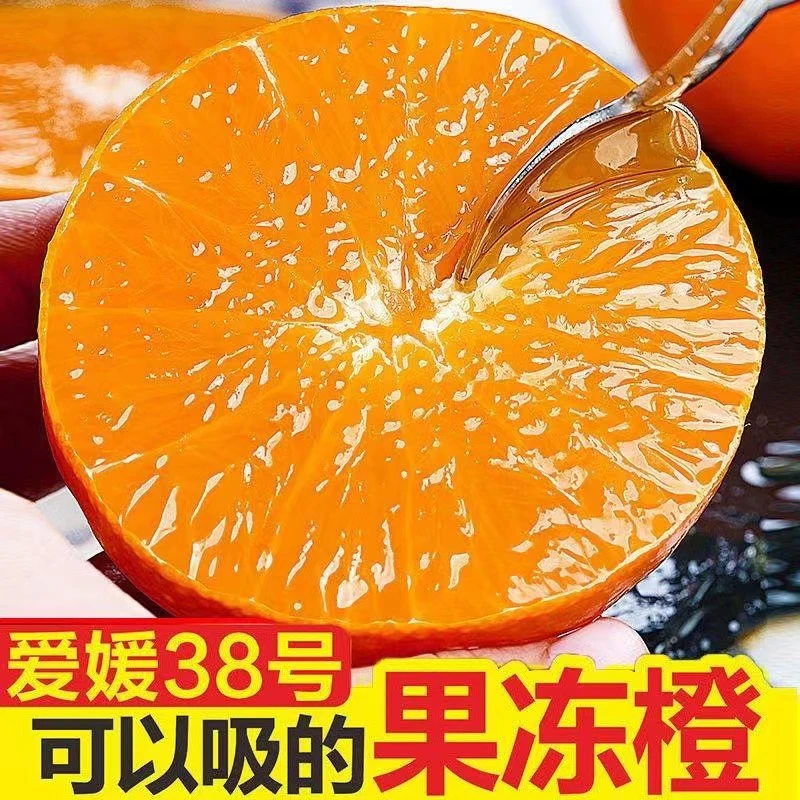 【内蒙专享】四川爱媛38号果冻橙 新鲜应季水果 爆汁细腻 4.5-8斤装