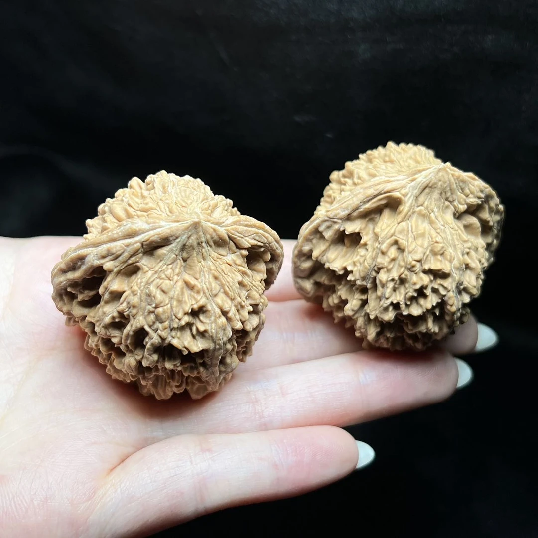 【地主专属】27 G35093-满天星百花山狮子头-尺寸40mm
