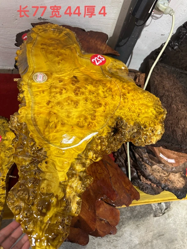 黄金樟木茶盘全实木功夫茶盘