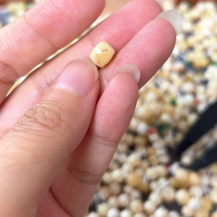 裸石蜜蜡未镶嵌7.6mm一个
