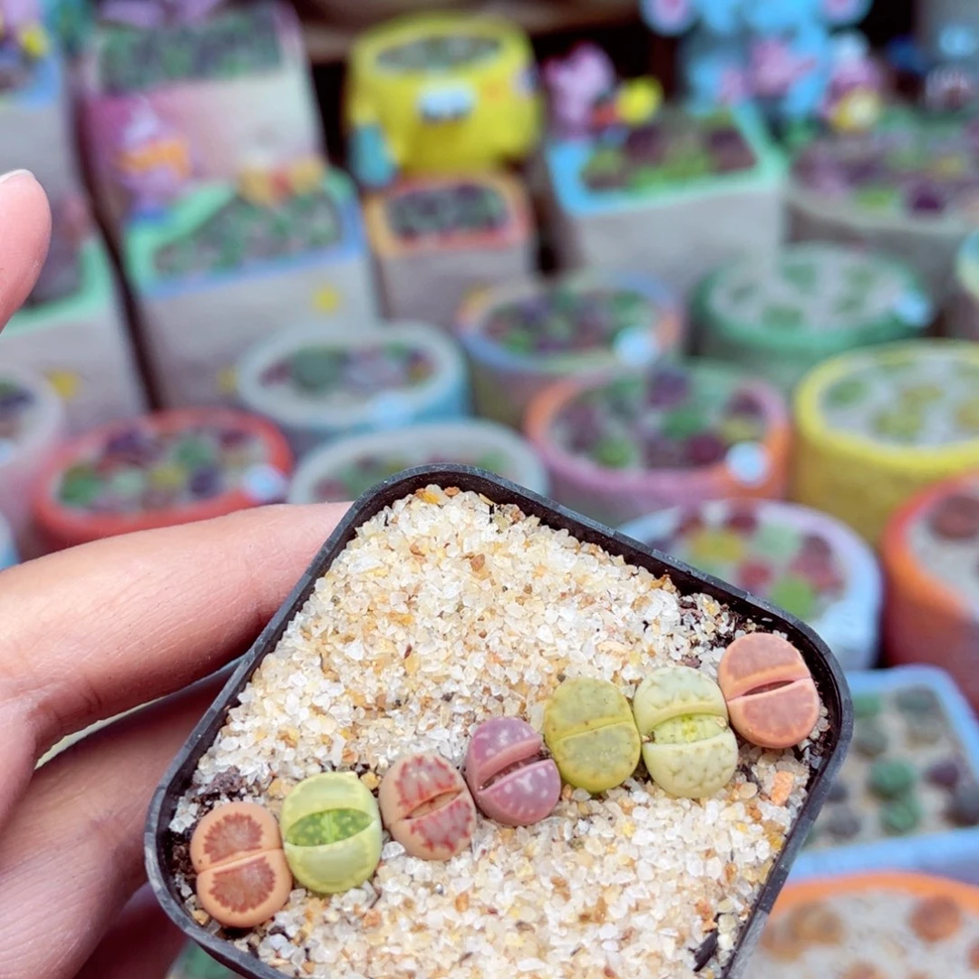 907。88888888888888888