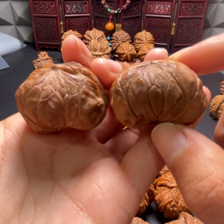 宫灯小蛇头33尺寸核桃哈哈哈哈哈哈