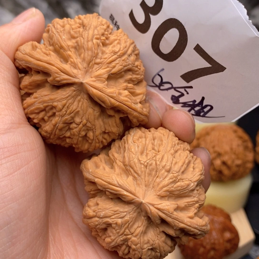 文玩核桃把件307号50全粗筋