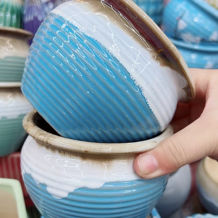 多肉植物陶瓷花盆