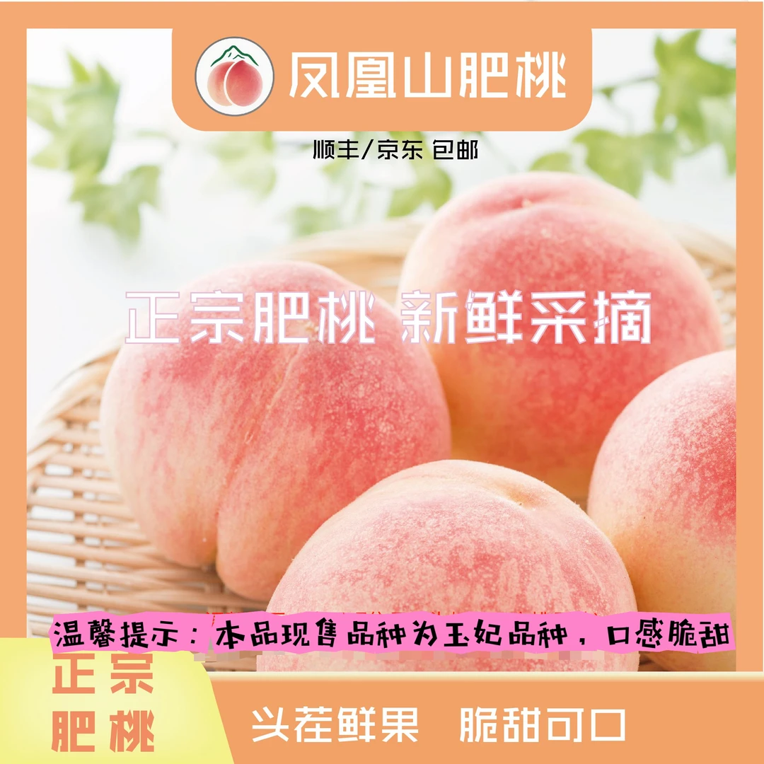 正宗肥桃精品  玉妃（圆桃）6/8/9个装 4.5斤脆甜可口顺丰包邮