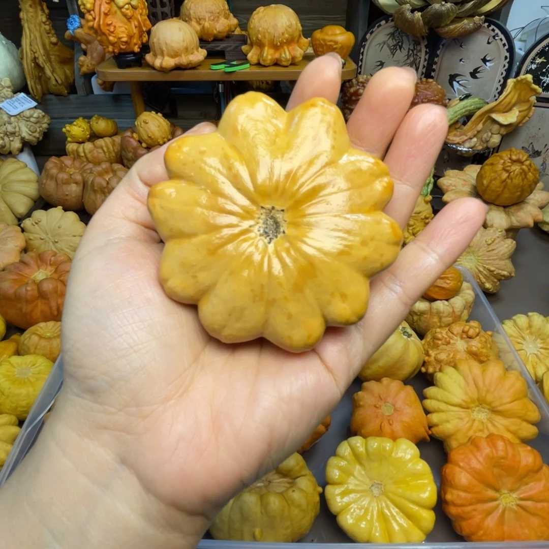 葫芦花花饼 全品福利