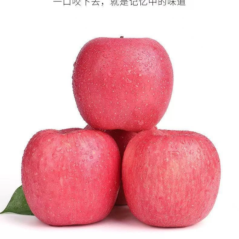 山东新鲜红富士苹果3斤新鲜苹果云南省