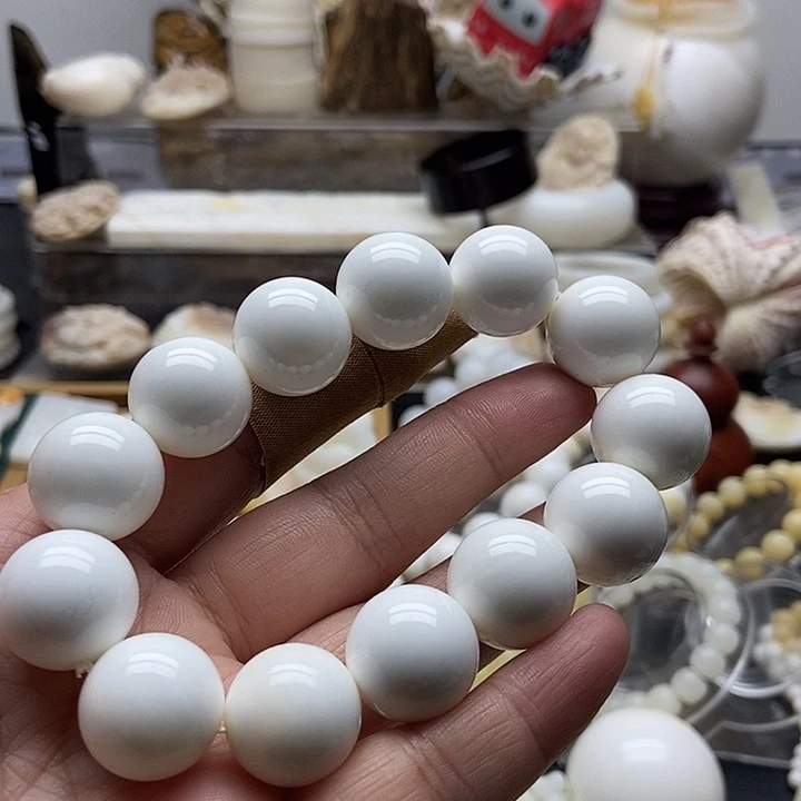 非金属贝壳全白通货1.6单圈