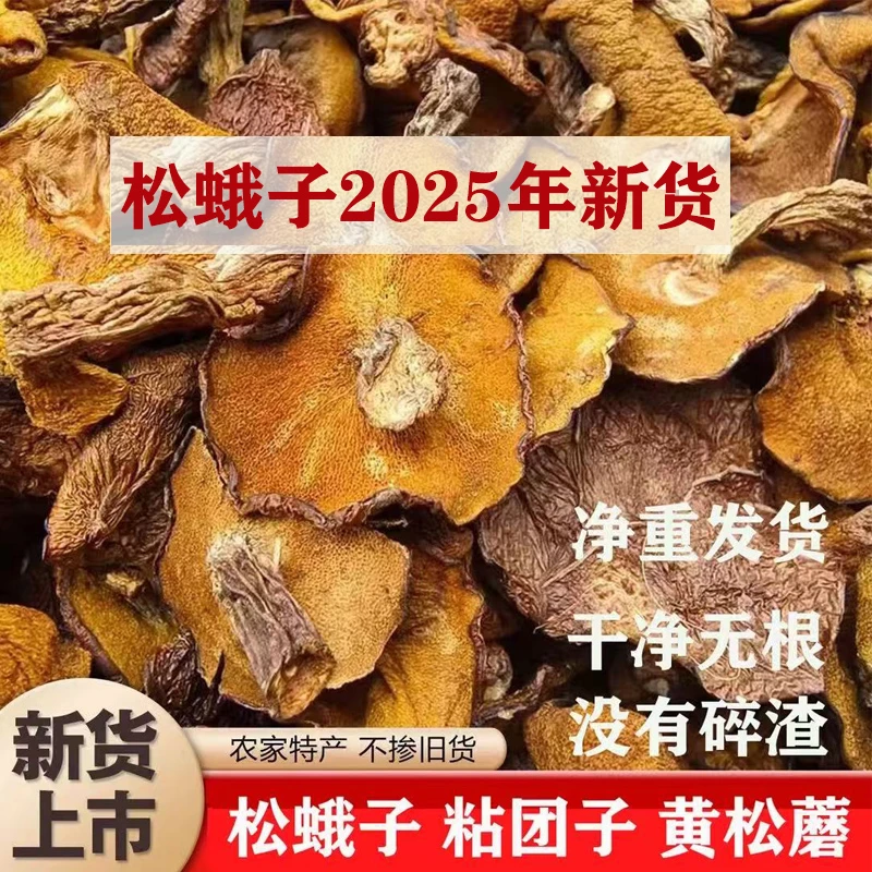 松树蘑干货蛾子松蘑菇黄黏团子炖鸡煲汤松蛾子粘团子营养鲜香味浓
