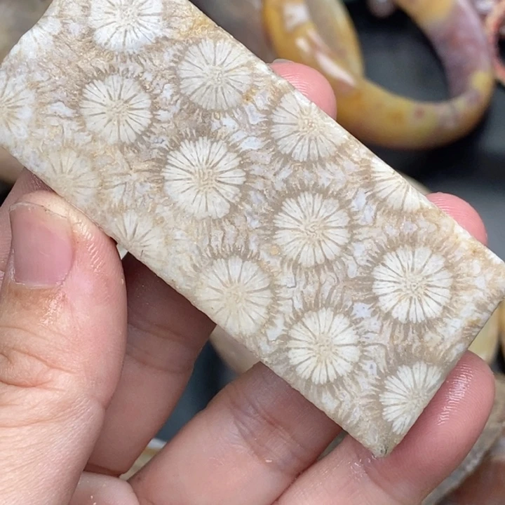 硅化玉未镶嵌颈饰