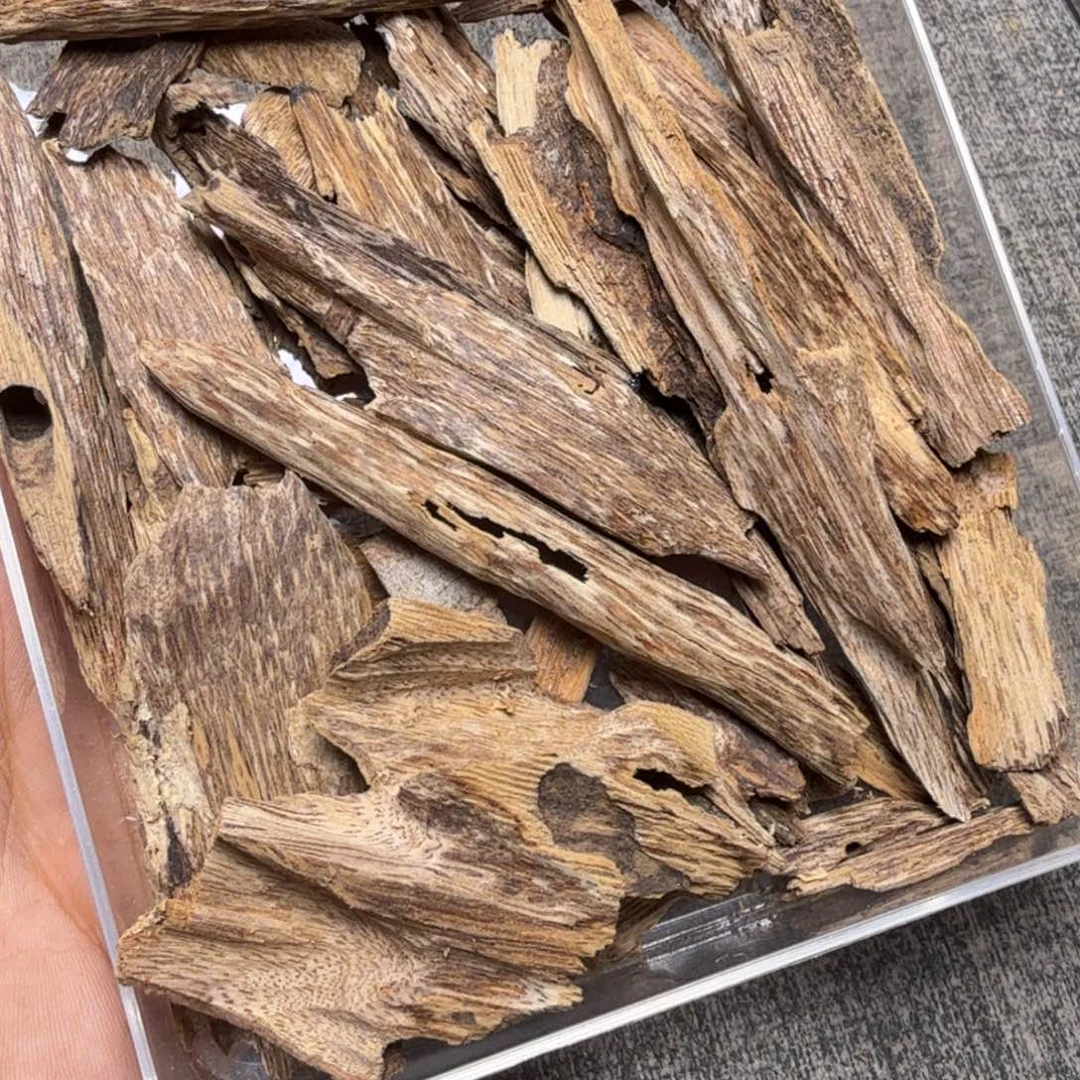 香榧木淳化虫漏碎料40克