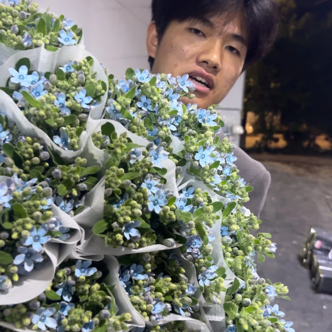 蓝星花5扎包邮价轻微上点